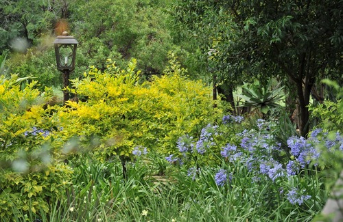 Cullinan House | Legodimo is a luxurious SELF-CATERING GAME LODGE 1 hour from Sandton
