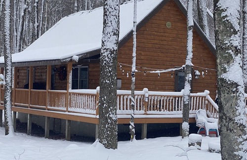 Bellaire Cabin | Leister Kabine in the Woods