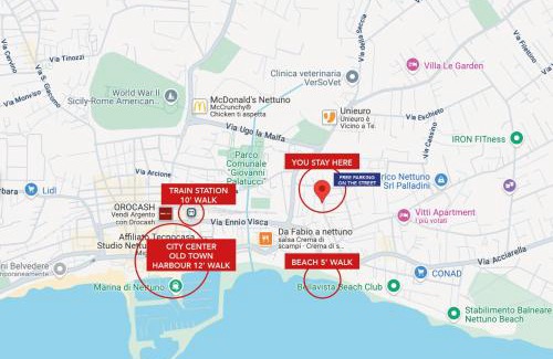 Nettuno Apartment | Lemon tree 400 mt dal mare