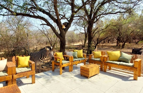 Marloth Park House | Lenny's Den - meet the wildlife!