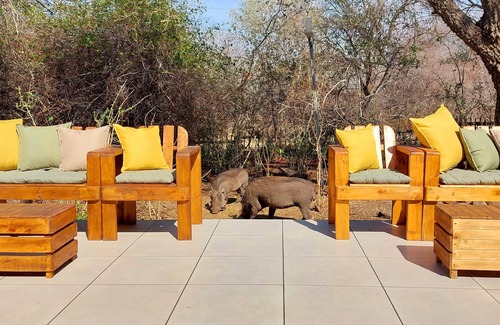 Marloth Park House | Lenny's Den - meet the wildlife!