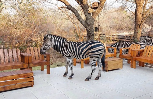 Marloth Park House | Lenny's Den - meet the wildlife!