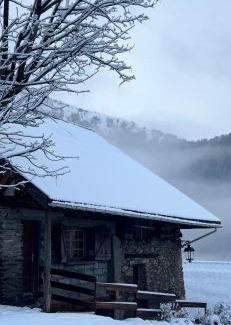 Mont-de-Lans Ski Chalet | Les Écrins d'or - Maison Les Deux Alpes