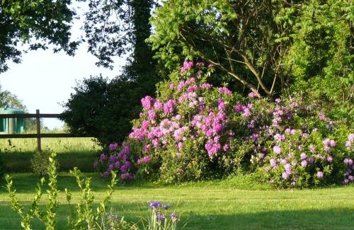 Muzillac Bed & Breakfast | Les écuries de Bel Air