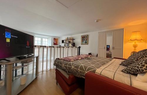 Fontainebleau Apartment | Les écuries du Roi - Château de Fontainebleau