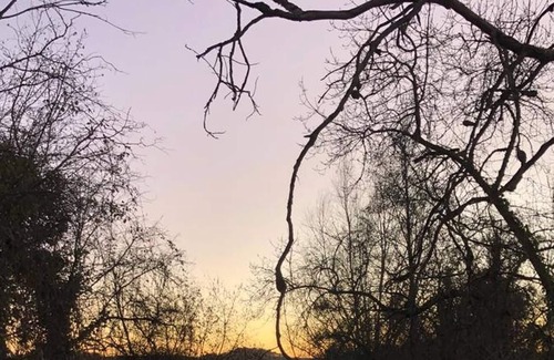Le Vieil-Bauge House | Les 2 roulottes du moulin de palet