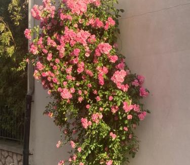 Les Arceaux Bed & Breakfast | Les 4 étoiles