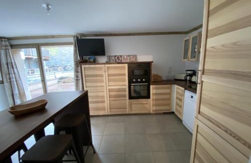 Prapoutel Apartment | Les 7 laux immobilier chalet F