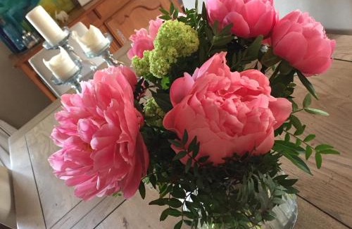 Suze-la-Rousse Bed & Breakfast | Les Aiguières en Provence