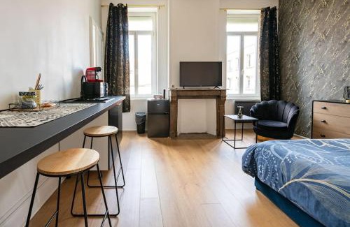 Gare Apartment | Les Appart'Hôtels Du Calaisis - 102 Shadow