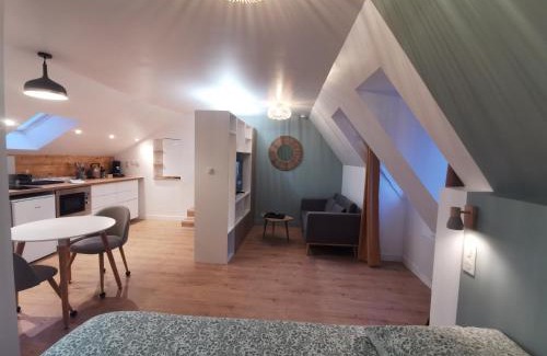 Salies-de-Bearn Apartment | Les appartements du centre, refaits à neuf, climatisés, hyper centre, 50m à pieds des commerces, restaurants, parking gratuit