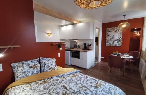 Salies-de-Bearn Apartment | Les appartements du centre, refaits à neuf, climatisés, hyper centre, 50m à pieds des commerces, restaurants, parking gratuit