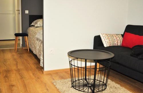 City-Centre - Petite France Apartment | Les Appartements de l'Epine