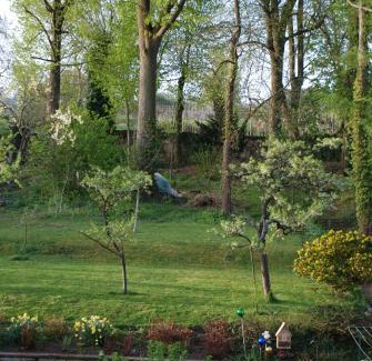 Scharrachbergheim-Irmstett House | Les Bleuets