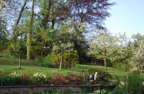 Scharrachbergheim-Irmstett House | Les Bleuets