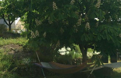 Dampierre-sur-Boutonne Bed & Breakfast | Les chambres de la Boutonne