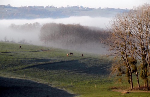 Rouvreux House | Les chambres du Houmier