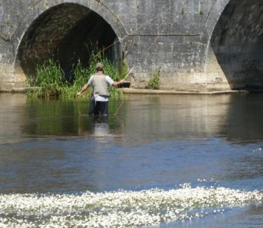Sencenac-Puy-de-Fourches Bed & Breakfast | Les chambres du Ladoux