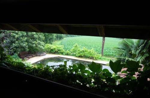 Montfort-en-Chalosse Bed & Breakfast | Les Chemins de Berdis