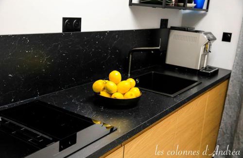 Nevers Apartment | Les Colonnes d'Andrea