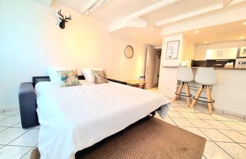 Saint-Pierre - Rene II - Bonsecours Apartment | Les Cosy de Nancy - Le repère du roi stanislas 4étoiles