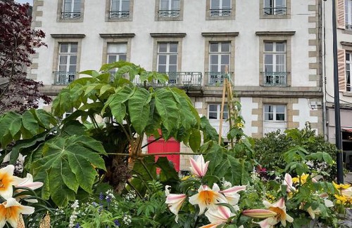 Morlaix Apartment | les croix appartements