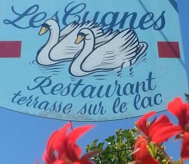 Evian-les-Bains Hotel | Les Cygnes
