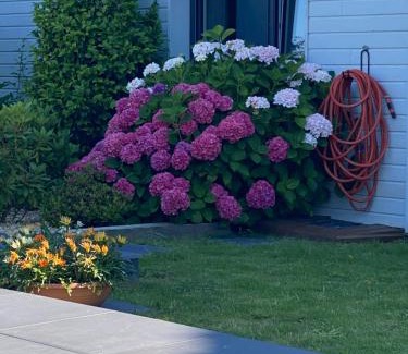 La Baule-Escoublac Bed & Breakfast | LES EVENS La Baule