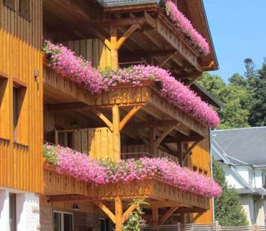 Sainte-Marie-aux-Mines House | LES GÎTES D'ADELSPACH - Gîtes 4 étoiles Nature & Spa