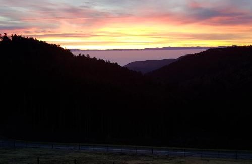 Sainte-Marie-aux-Mines House | LES GÎTES D'ADELSPACH - Gîtes 4 étoiles Nature & Spa