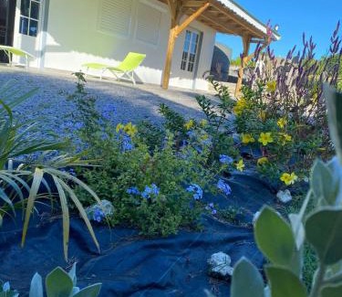 Rabi House | LES GÎTES DE BIBINE gîtes tout confort coin calme et tranquille