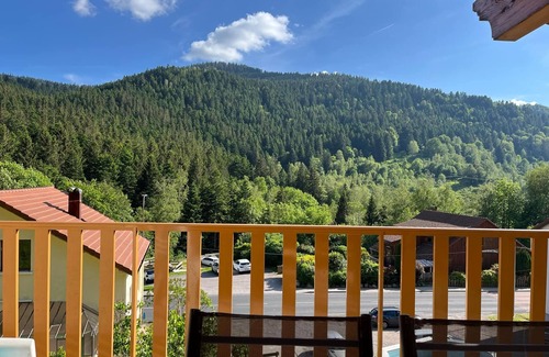 La Bresse House | Les gîtes du Bruleux 7 and 11 people