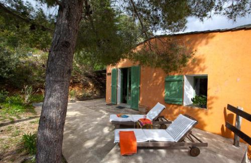 Olmeta di Capocorso Apartment | Les Gîtes du Cap Corse