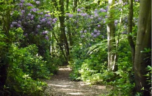 Equemauville Bed & Breakfast | Les gîtes du Mesnil chambre standard