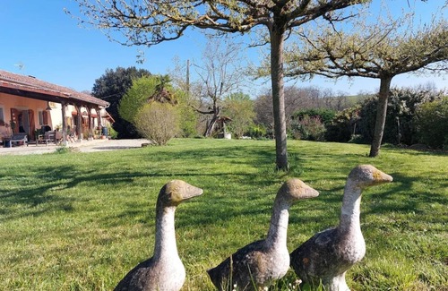 Monbardon Apartment | Les Gites de Campardon - Les Orchidées