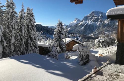 Les Carroz-d'Araches Apartment | Les Grangettes 2 - DUPLEX - WIFI gratuite