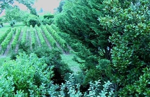 Saint-Emilion Bed & Breakfast | Les ID de Saint Emilion