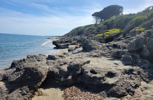 Bravone Apartment | Les jardins de la mer residence with swimming pool 300 m from the sea.