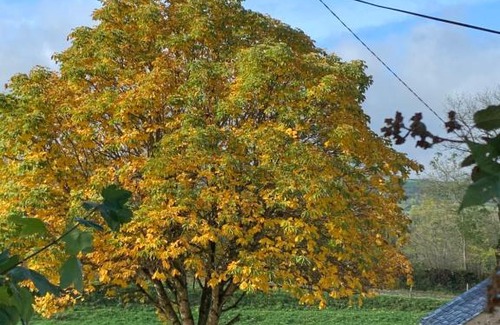Marchastel House | Les Lauzes du Mas