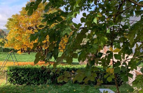 Marchastel House | Les Lauzes du Mas