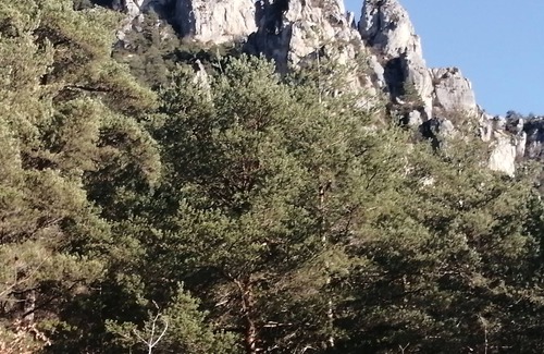 Le Rozier Apartment | Les Lavandes de Capluc appt Les Lavandes