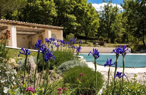 Saignon House | Les Lavandes