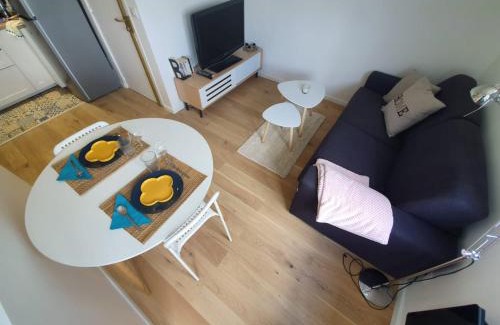 Ozoir-la-Ferriere Apartment | les lilas