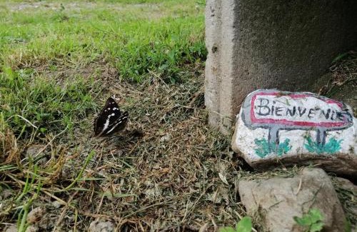 Sondernach Apartment | Les Locations de Stéphanie ,Gite Le Verger