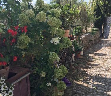 Montbrun-les-Bains House | Les Magnolias