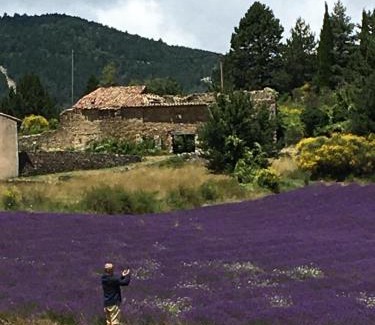 Montbrun-les-Bains House | Les Magnolias