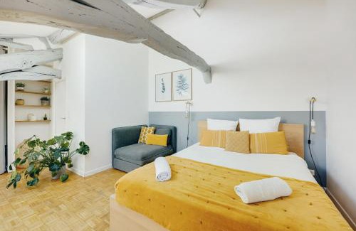 Notre-Dame Apartment | Les Mansardes du Roi - Tout proche château