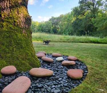 Lavaur House | Les Mazasses