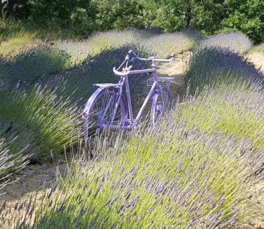 Cereste Bed & Breakfast | Les Néfliers chambre d'hôtes