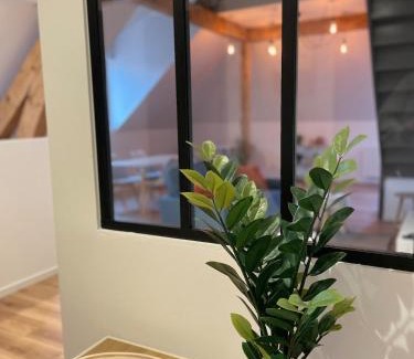 Sochaux Apartment | Les nuits du Lion